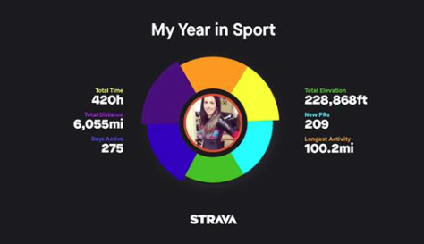 My 2017 Year in Sport